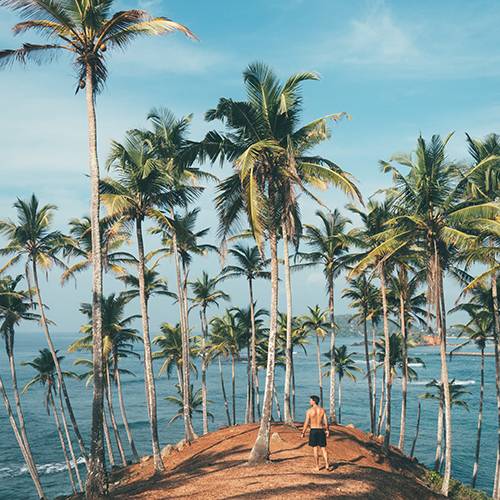 Kochi